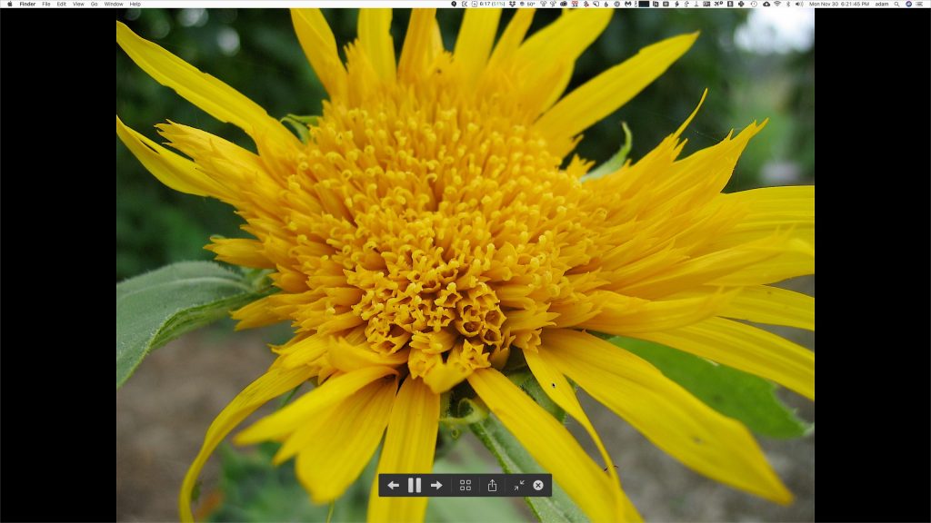 A Swift Shortcut to Create an Instant Slideshow from a Folder of Images