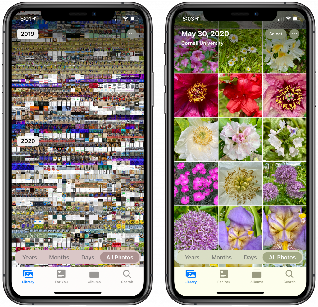 Pinch to Zoom in All Photos in iOS 14